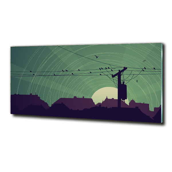 Schilderij op glas Vogelstad