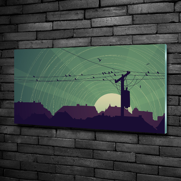 Schilderij op glas Vogelstad