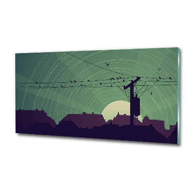 Schilderij op glas Vogelstad