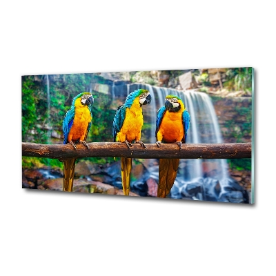 Foto schilderij op glas Papegaaien op een tak