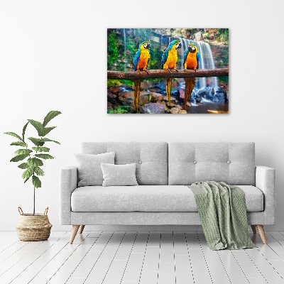 Foto schilderij op glas Papegaaien op een tak