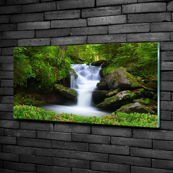 Foto schilderij op glas Waterval in het bos