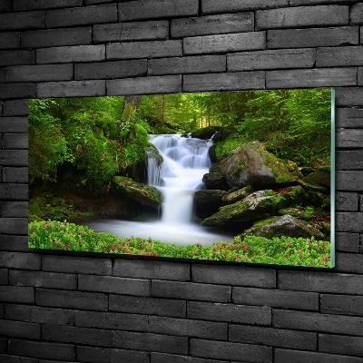 Foto schilderij op glas Waterval in het bos