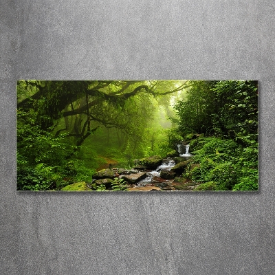 Schilderij op glas Oerwoud in Nepal