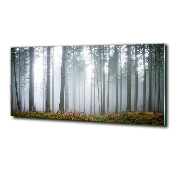 Schilderij glas Mist in het bos