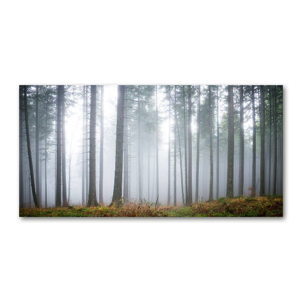 Schilderij glas Mist in het bos