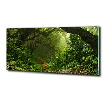 Schilderij op glas Oerwoud in Nepal