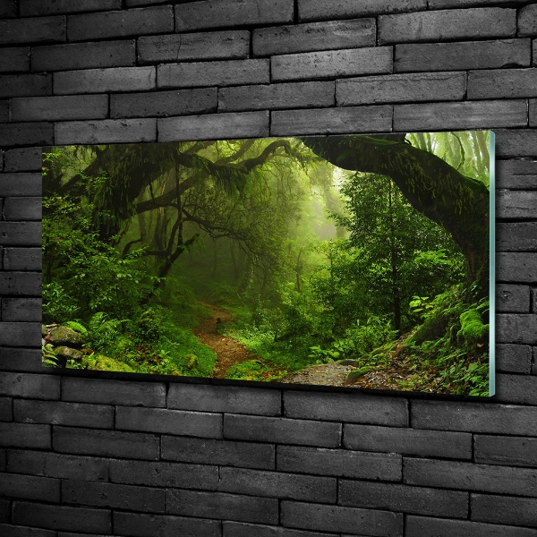 Schilderij op glas Oerwoud in Nepal