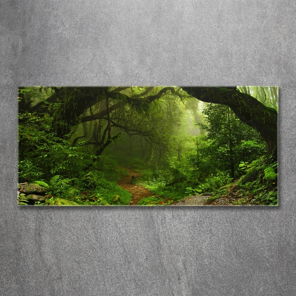 Schilderij op glas Oerwoud in Nepal