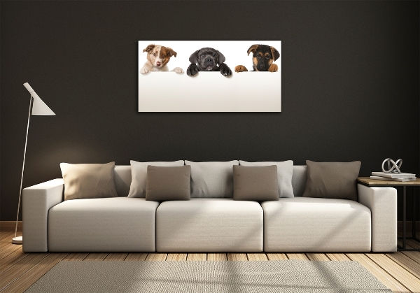 Schilderij glas Drie puppy's