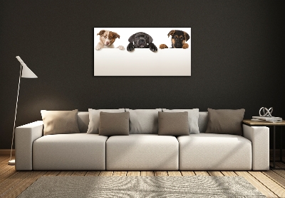 Schilderij glas Drie puppy's