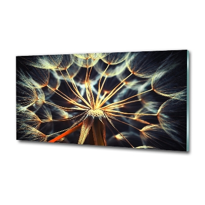 Glazen schilderij Paardenbloemen