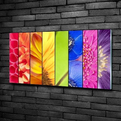 Schilderij glas Kleurrijke bloemen