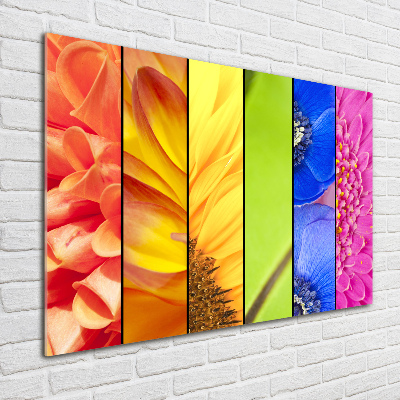 Schilderij glas Kleurrijke bloemen