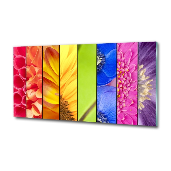 Schilderij glas Kleurrijke bloemen