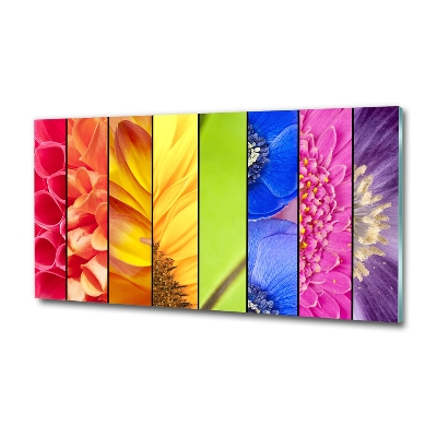 Schilderij glas Kleurrijke bloemen