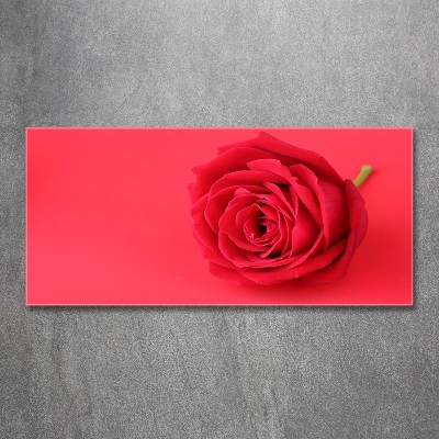 Schilderij glas Rode roos