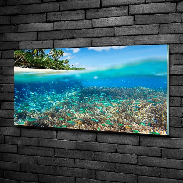 Schilderij op glas Koraalrif