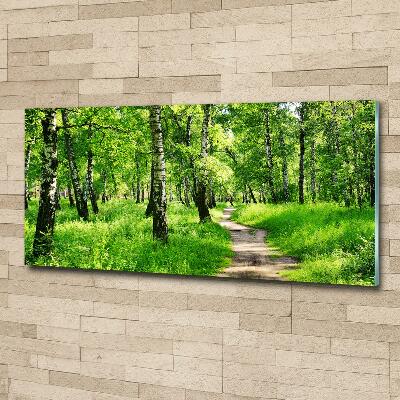 Schilderij glas Berkenbos