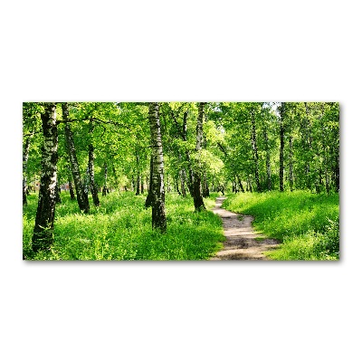 Schilderij glas Berkenbos