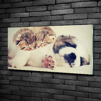 Schilderij glas Twee katten en een hond