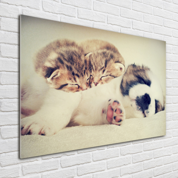 Schilderij glas Twee katten en een hond