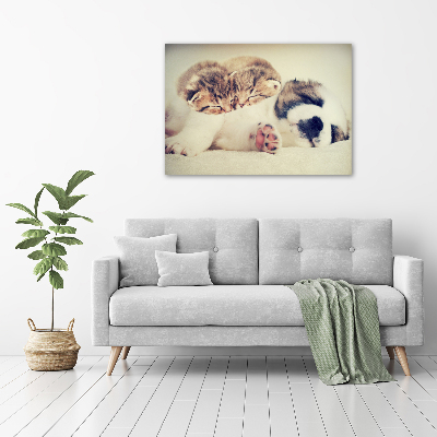 Schilderij glas Twee katten en een hond