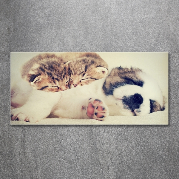 Schilderij glas Twee katten en een hond