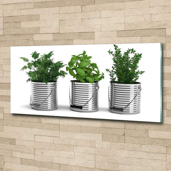 Schilderij glas Aromatische planten