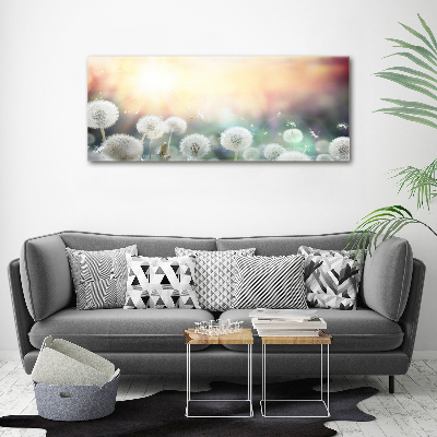 Foto schilderij op glas Paardenbloemenveld