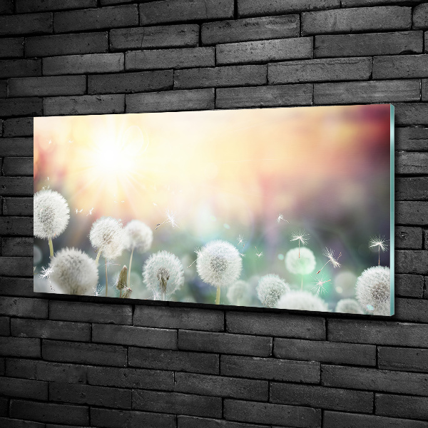 Foto schilderij op glas Paardenbloemenveld