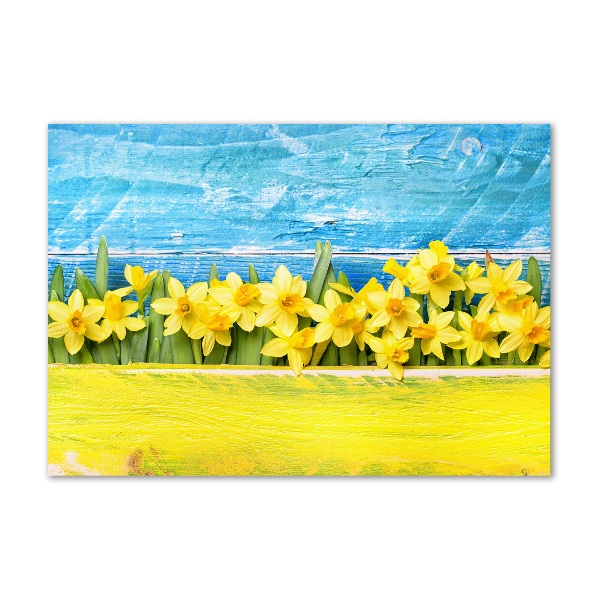 Schilderij op glas Narcissen