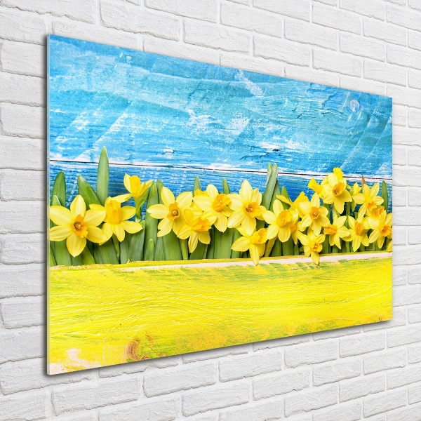 Schilderij op glas Narcissen