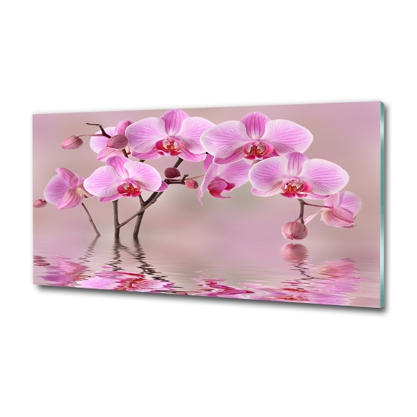 Schilderij glas Roze orchidee