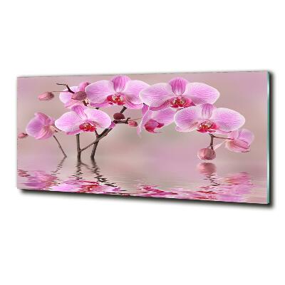 Schilderij glas Roze orchidee