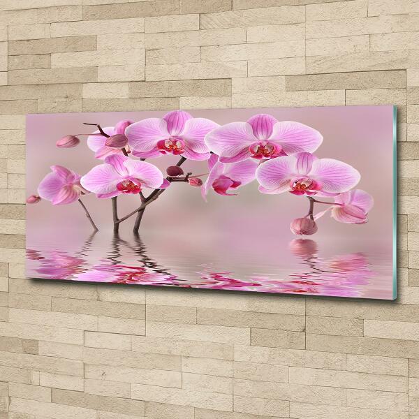 Schilderij glas Roze orchidee