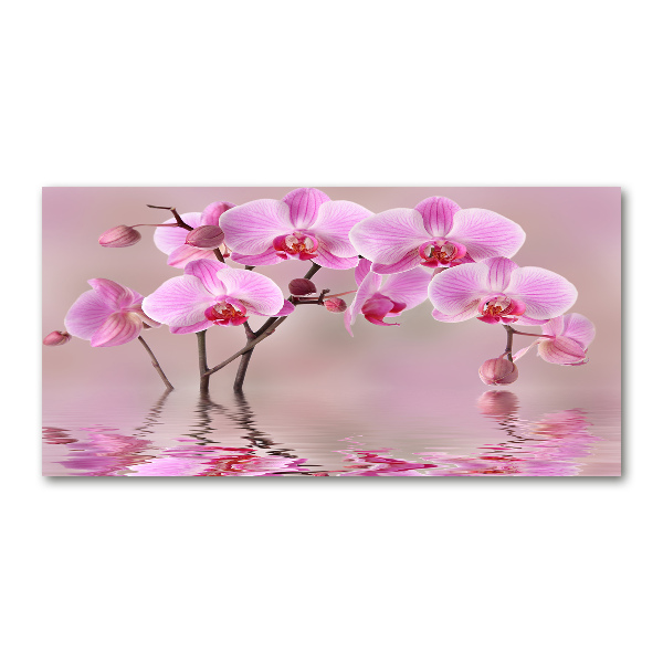 Schilderij glas Roze orchidee