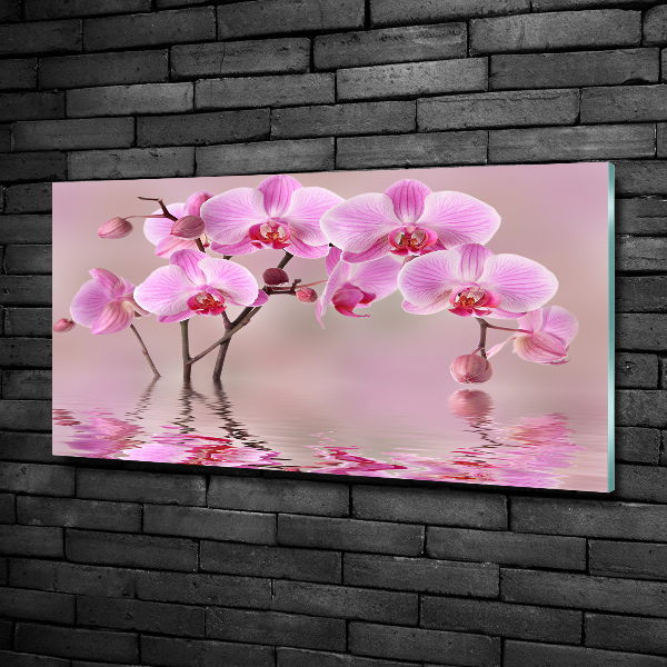 Schilderij glas Roze orchidee
