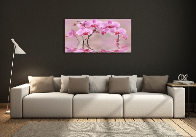 Schilderij glas Roze orchidee