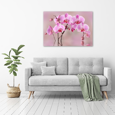 Schilderij glas Roze orchidee