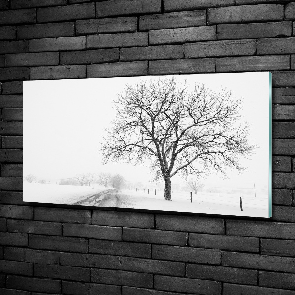 Glazen schilderij Boom in de winter