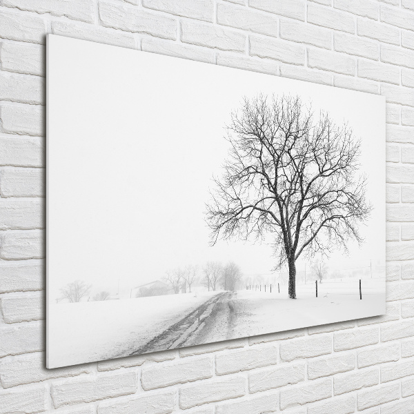 Glazen schilderij Boom in de winter