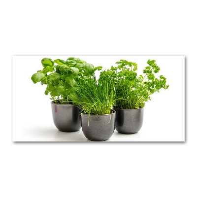 Glazen schilderij Kruiden in potten