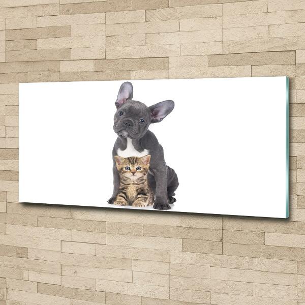 Schilderij glas Hond en kat