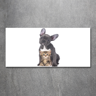 Schilderij glas Hond en kat