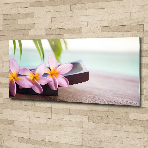 Glazen schilderij Plumeria