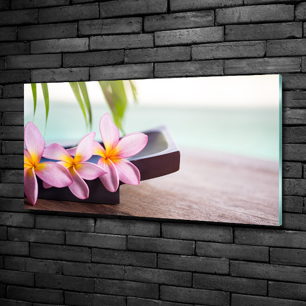 Glazen schilderij Plumeria
