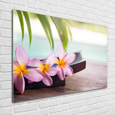 Glazen schilderij Plumeria