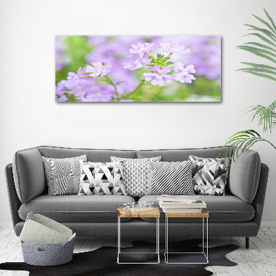 Foto schilderij op glas Verbena