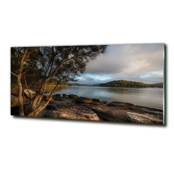 Glazen schilderij Een boom aan de rivier